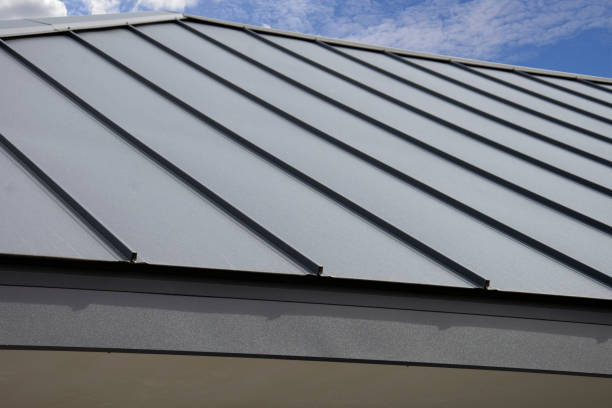 Best Sheet Metal Roofing  in Lorena, TX